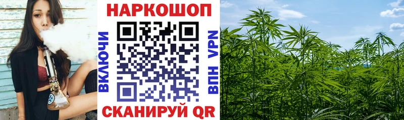 Наркошоп Жуков МАРИХУАНА A PVP МЕТАДОН Галлюциногенные грибы КОКАИН Мефедрон