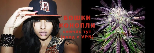 прущие грибы Беломорск