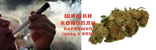 прущие грибы Беломорск