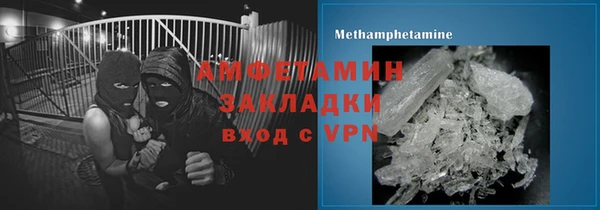 прущие грибы Беломорск