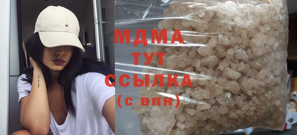 прущие грибы Беломорск