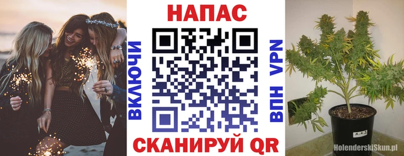 где найти   Жуков  Шишки марихуана гибрид 